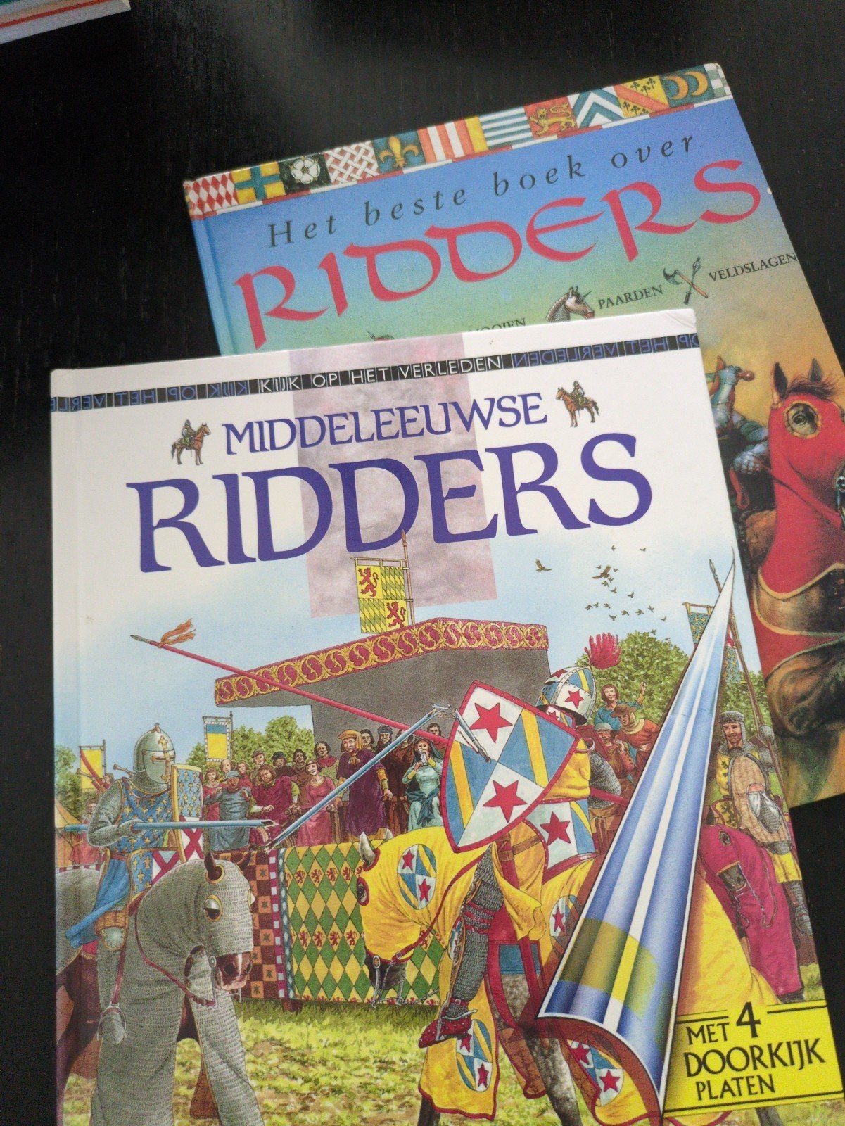 Middelburgse Ridders & Het Beste Boek over Ridders, Ophalen of Verzenden, Non-fictie
