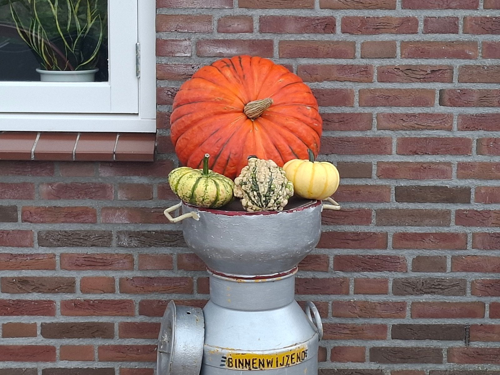 grote en kleine pompoenen en kalebassen, Ophalen, Nieuw