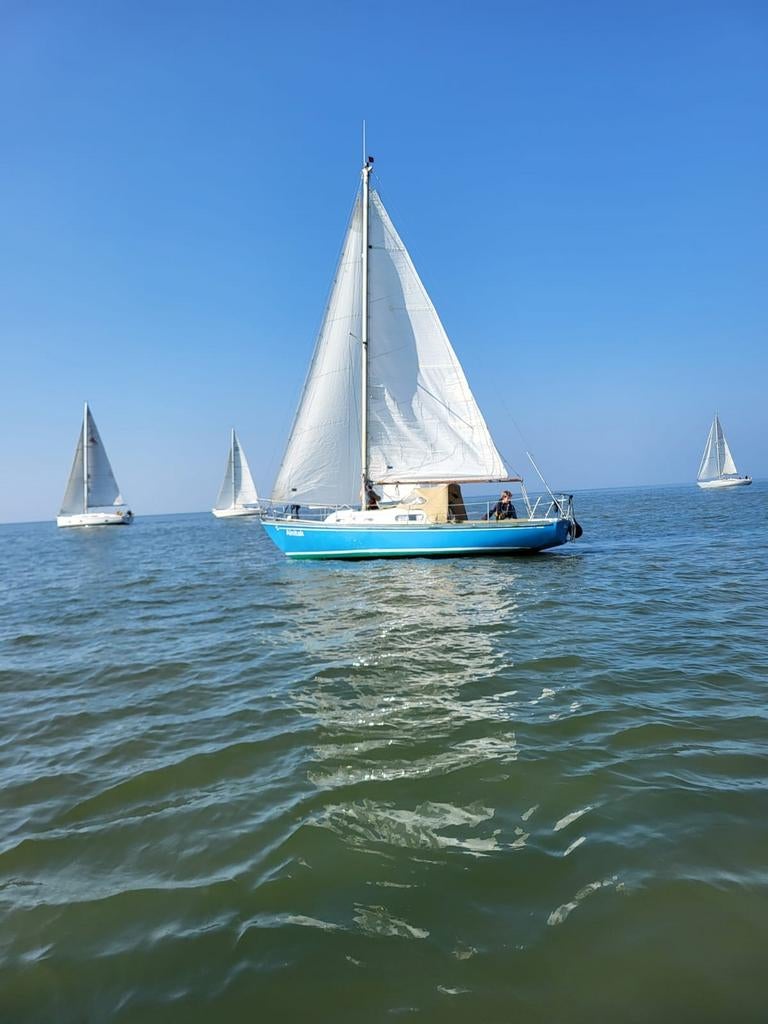 Sailmaster 26, compleet. Weekend price drop!!!, Watersport en Boten, Kajuitzeilboten en Zeiljachten, Ophalen, Overige merken, Gebruikt