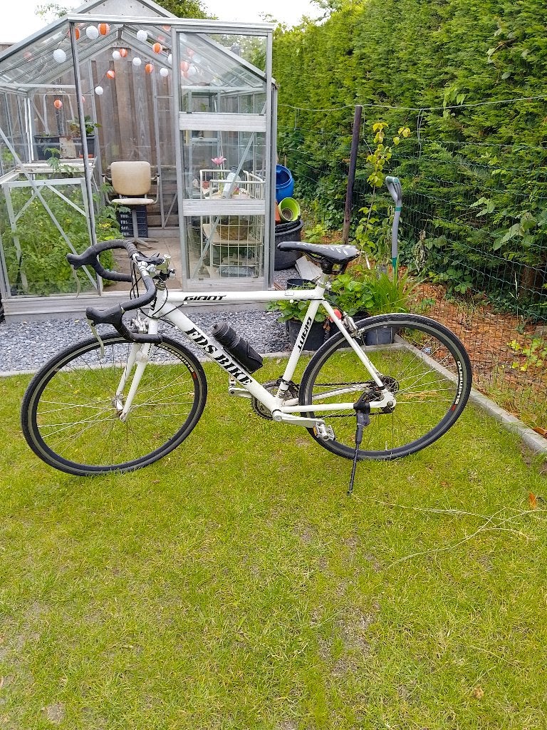 Giant FDS racefiets dames, Ophalen, Overige materialen, Gebruikt, 10 tot 15 versnellingen