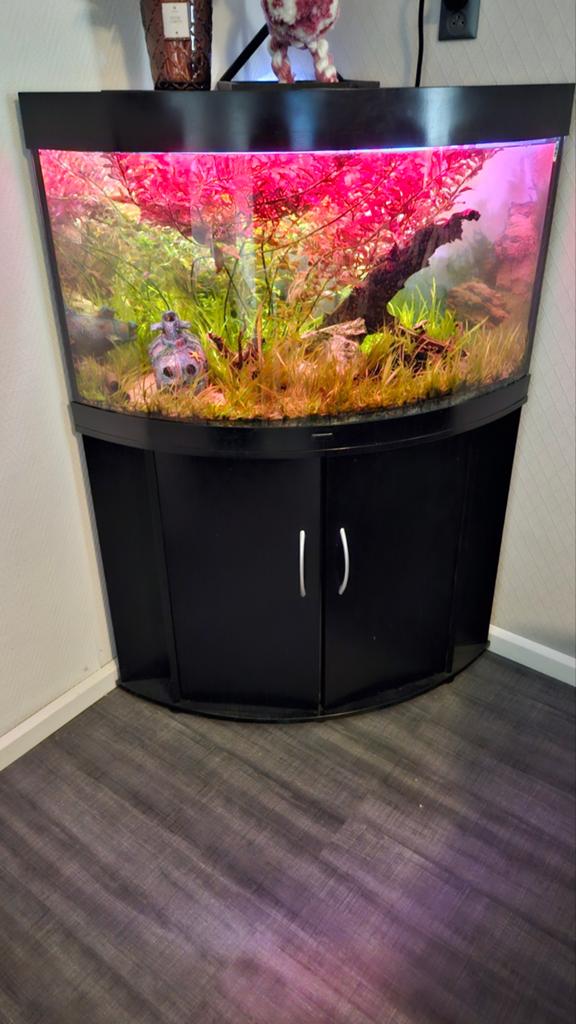 Aquarium, Dieren en Toebehoren, Ophalen