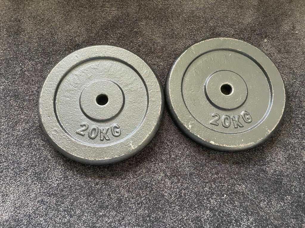 2x 20 kg gietijzeren platen, Sport en Fitness, Ophalen, Zo goed als nieuw, Dumbbell
