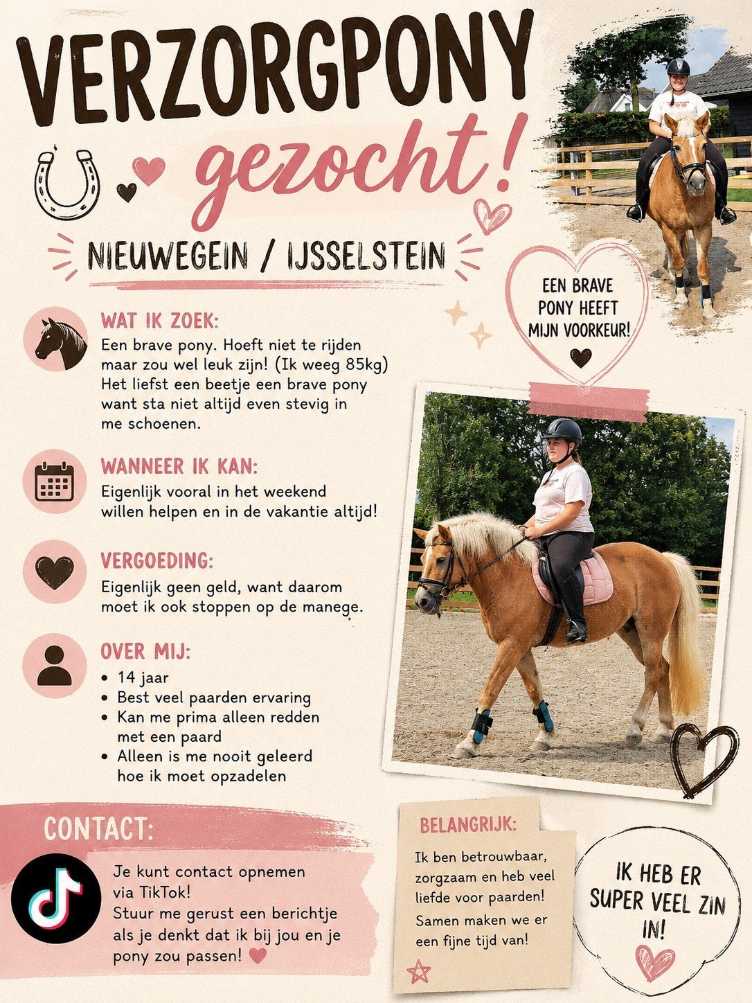 verzorgpony gezocht/verzorger aangeboden, Dieren en Toebehoren, Ophalen of Verzenden