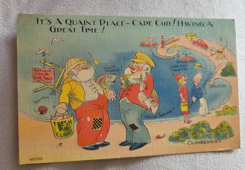 Vis humor - Cape Cod, Verzamelen, Ansichtkaarten | Themakaarten, Ongelopen, 1920 tot 1940, Overige thema's, Verzenden