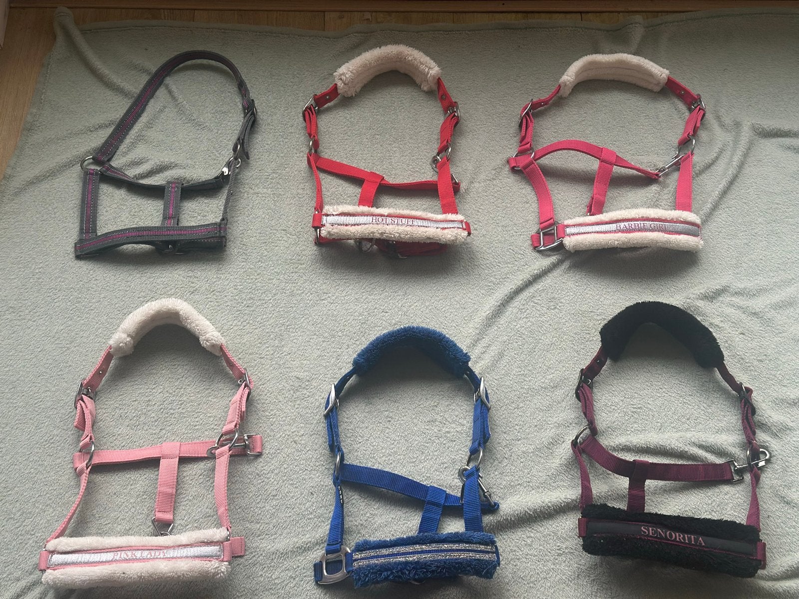 Halsters maat shet en pony., Dieren en Toebehoren, Ophalen of Verzenden