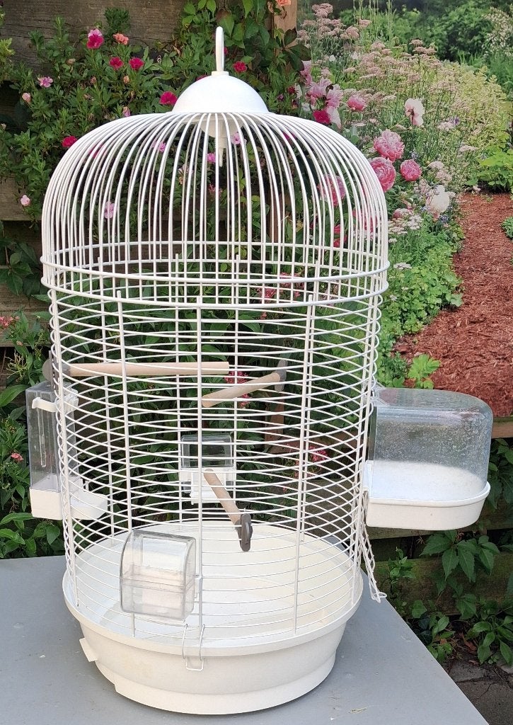 Vogelkooi te koop (voor kanarie of parkiet), Mannelijk, Zangkanarie