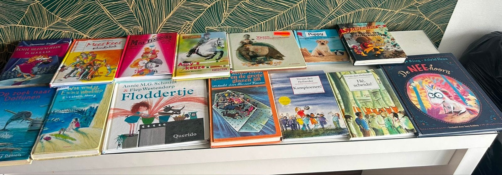 Kinderboeken - diverse titels en genres, Ophalen of Verzenden, Gelezen, Diverse auteurs, Fictie algemeen
