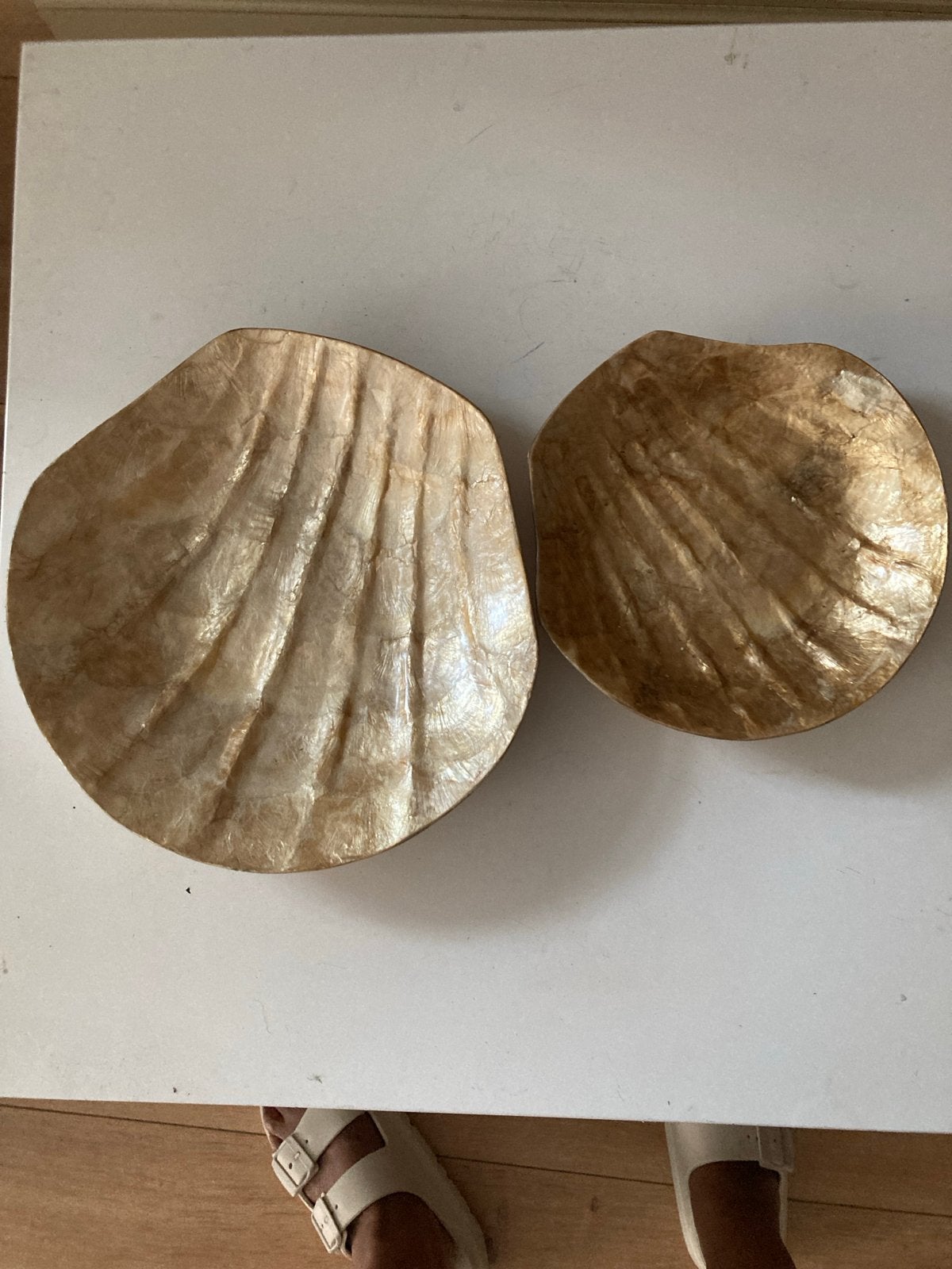 Decoratieve schelpschalen - Set van 2, Antiek en Kunst, Ophalen of Verzenden