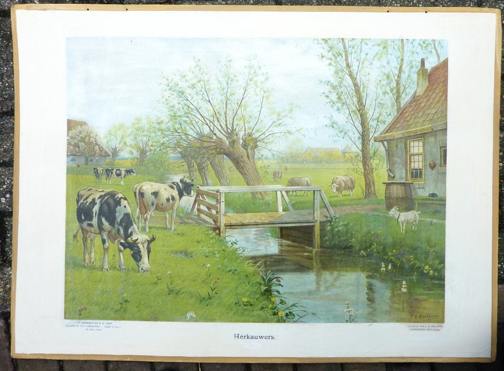 Oude schoolplaat met een oer Hollands landschap, Ophalen of Verzenden, Stad- en Dorpsgezichten