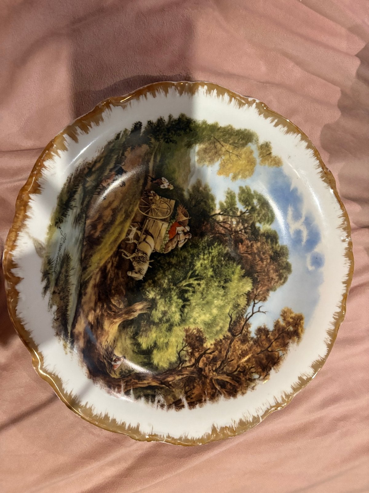 Decoratief Royal Schwabap bord met landschapstafereel, Ophalen of Verzenden