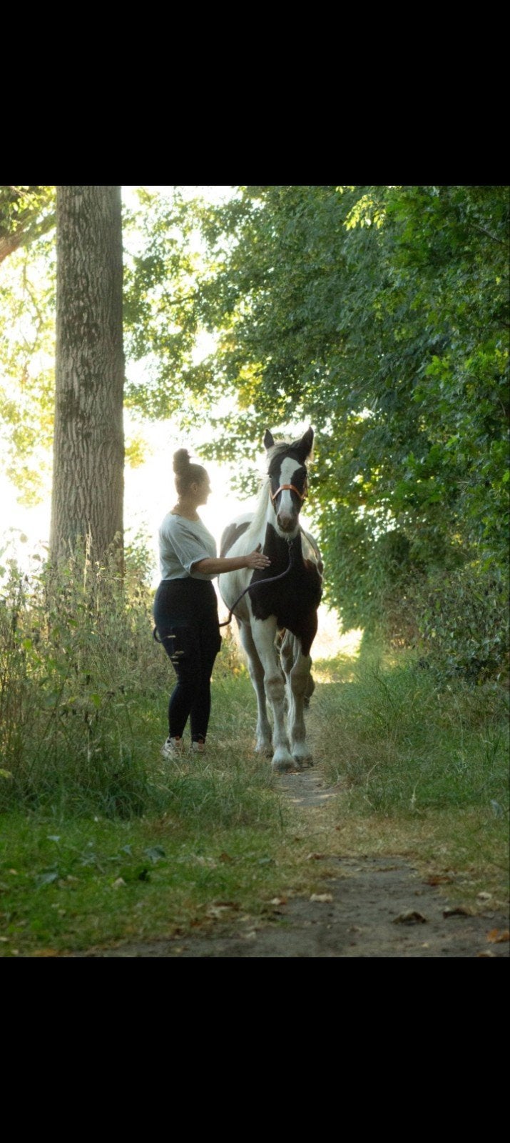 merrie, Dieren en Toebehoren, Paarden, Merrie, Minder dan 160 cm, Gechipt, 0 tot 2 jaar