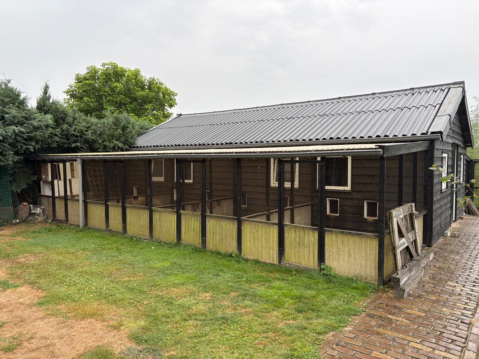 Kippenrennen 10x3 meter, Dieren en Toebehoren, Ophalen, Hout, Volière