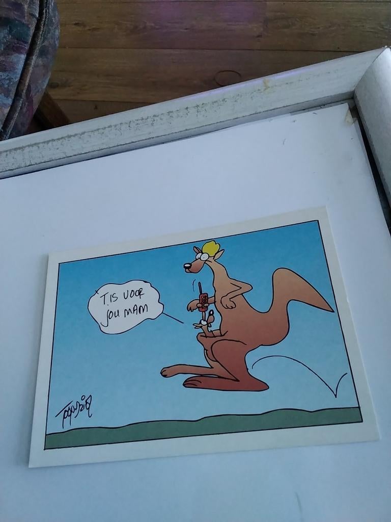 TOON VAN DRIEL / 'T IS VOOR JOU MAM, Ophalen of Verzenden, Overige thema's