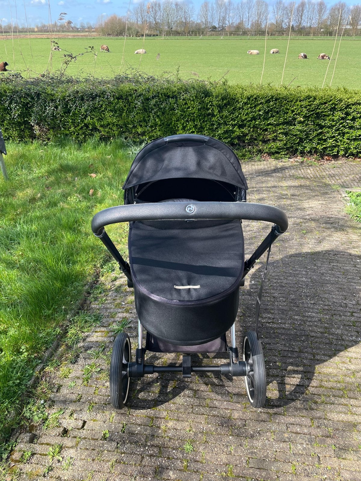 Cybex Priam kinderwagen, reiswieg, zitstoel en kidboard, Ophalen of Verzenden, Zo goed als nieuw, Overige merken