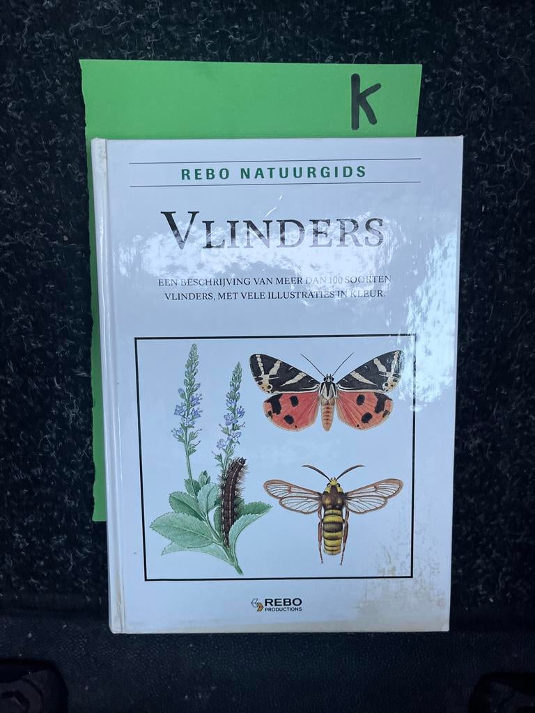 REBO Natuurgids Vlinders - Meer dan 100 soorten, Ophalen of Verzenden, Zo goed als nieuw, Bloemen, Planten en Bomen