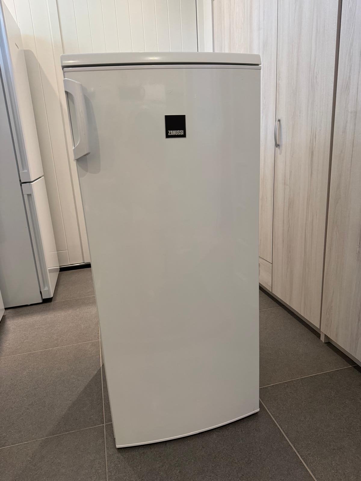 Zanussi 250CI Koelkast - Compact en Efficiënt, Ophalen, 150 tot 200 liter, 120 tot 140 cm, 45 tot 60 cm