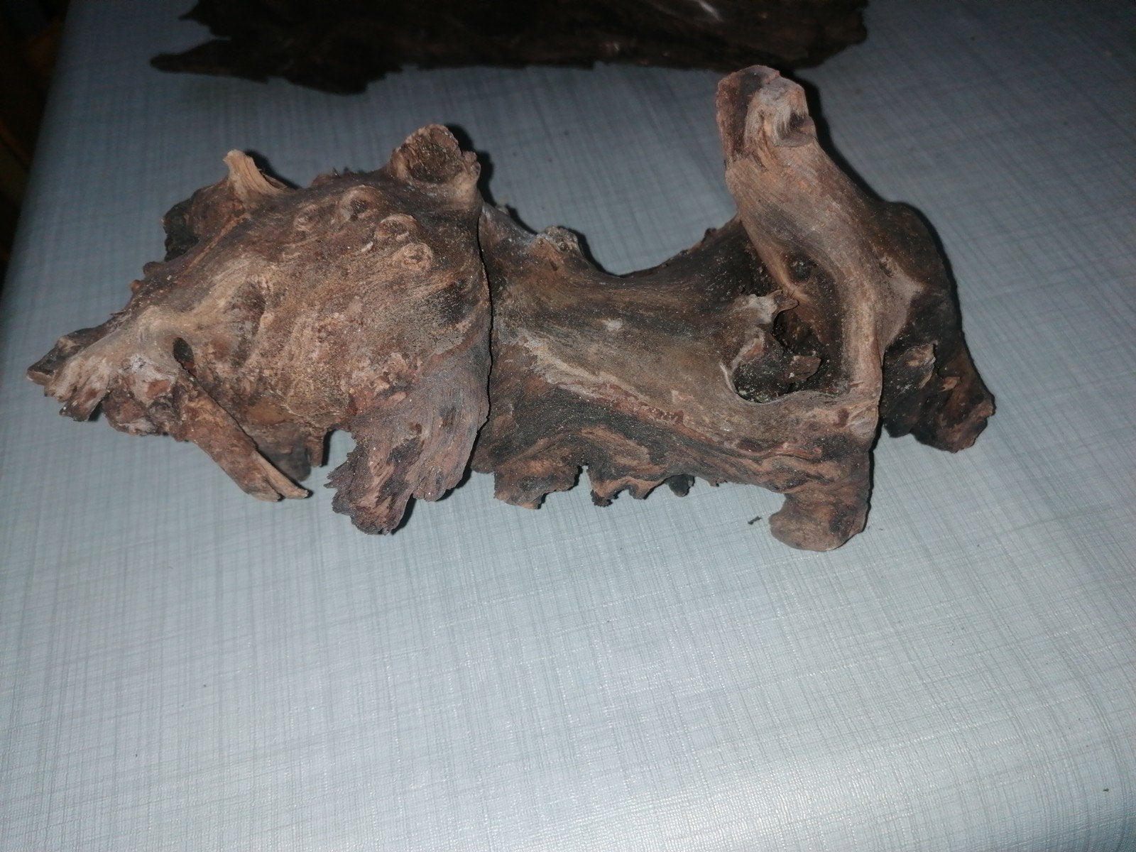 Hout stukken aquarium /terrarium, Dieren en Toebehoren, Ophalen, Plant(en), Steen of Hout