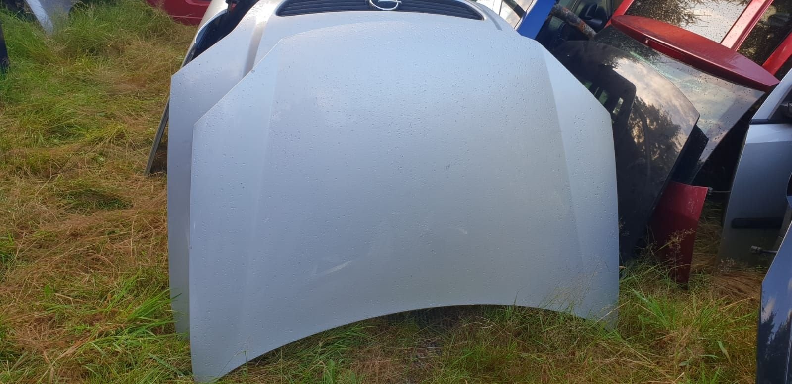 VW GOLF V MOTORKAP BJ 2005 TOT 2009, Gebruikt, -, -, Ophalen of Verzenden
