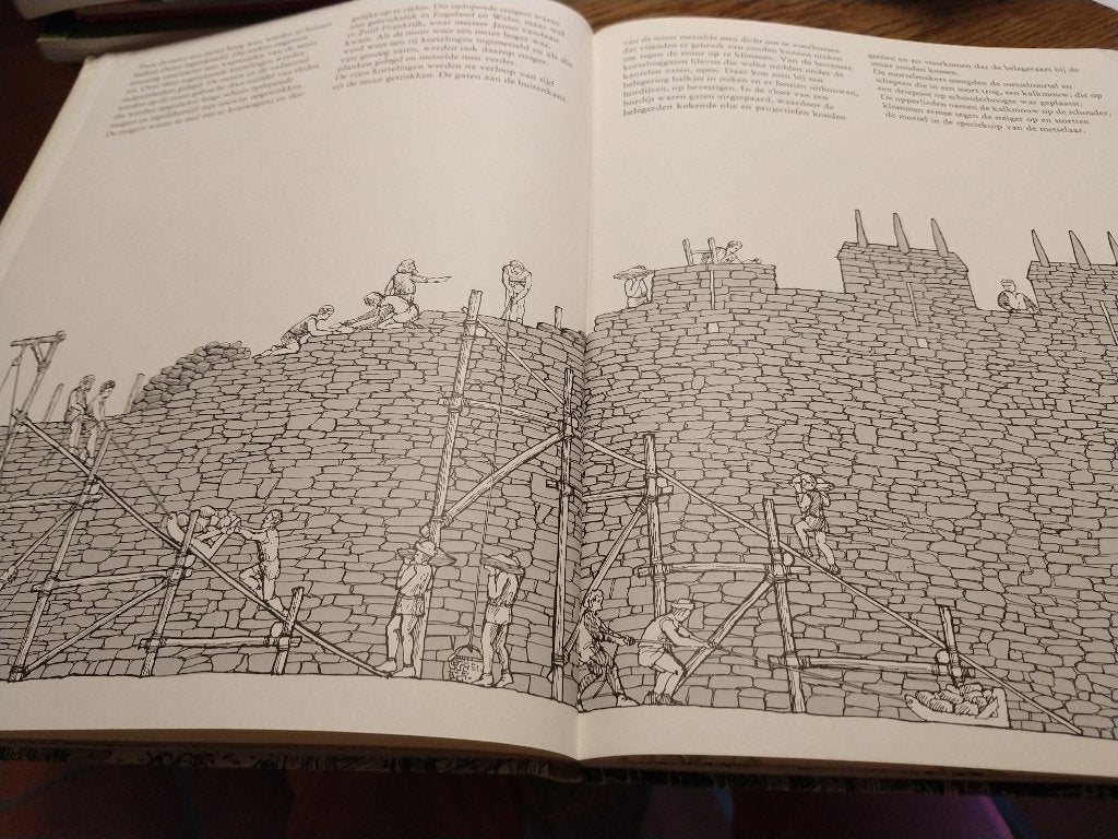 Boek over bouwen van een kasteel. Het kasteel door david mac, Ophalen of Verzenden, Gelezen, Overige onderwerpen