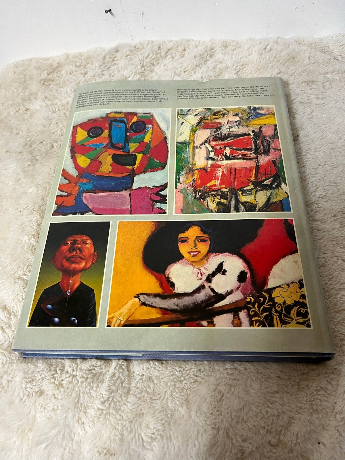 Moderne Kunst Zien en Begrijpen - Kunstboek, Ophalen of Verzenden, Gelezen, Schilder- en Tekenkunst