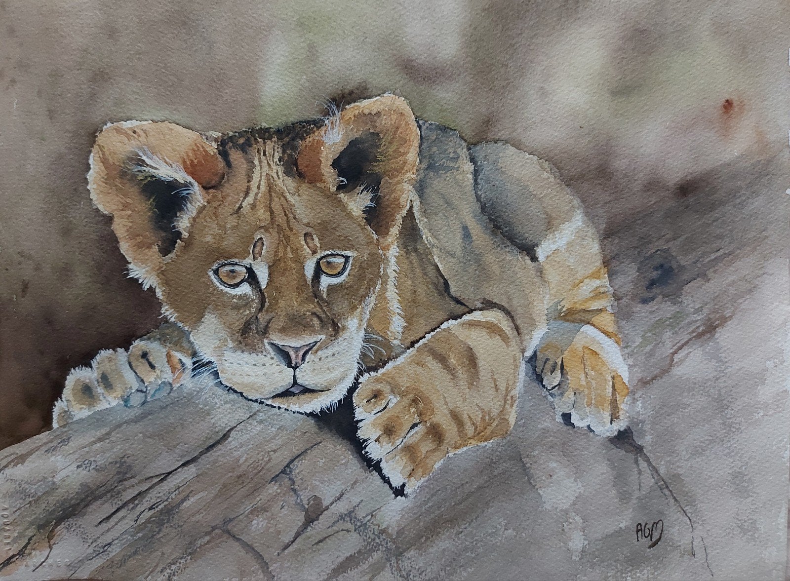 Aquarel leeuwenwelpje, Antiek en Kunst, Kunst | Schilderijen | Modern, Ophalen of Verzenden