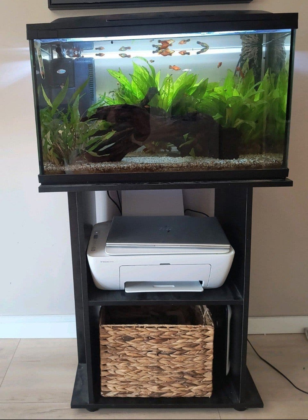 Mooi compleet aquarium te koop inclusief meubel, Ophalen, Zo goed als nieuw, Gevuld zoetwateraquarium
