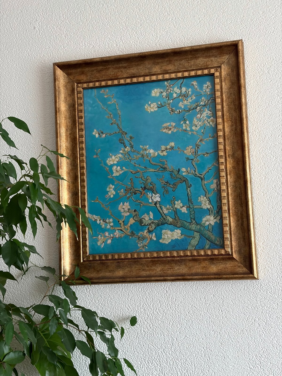 Schilderij 'Amandelbloesem' - Van Gogh orangewallz, Bloemen, Doek, Impressionistisch, Ophalen of Verzenden