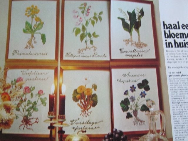 Borduurpatroon  Veldbloemen  nr 1977  do, Verzenden, Nieuw, Handborduren, Patroon