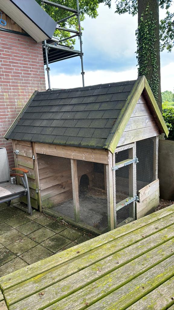 Kippenhok, Dieren en Toebehoren, Ophalen, Zo goed als nieuw, 110 cm of meer, 100 cm of meer