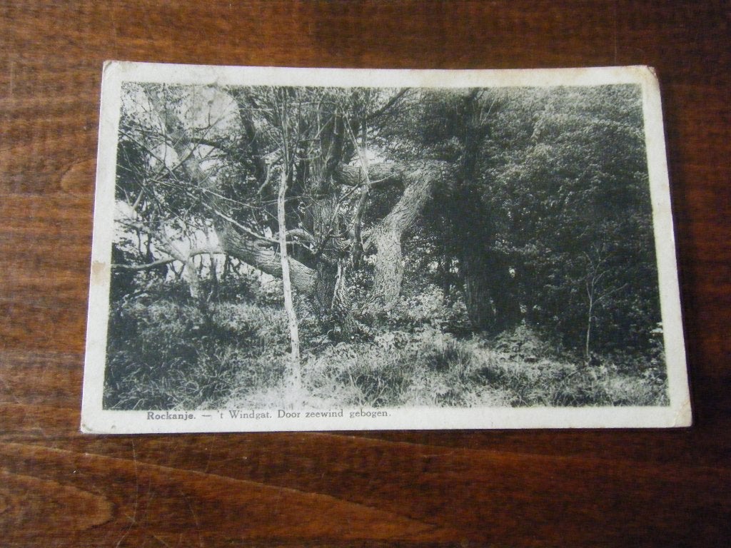 F30 - Rockanje - 't Windgat - ca. 1935 - Mooi/Oud, Ophalen of Verzenden, 1920 tot 1940, Zuid-Holland