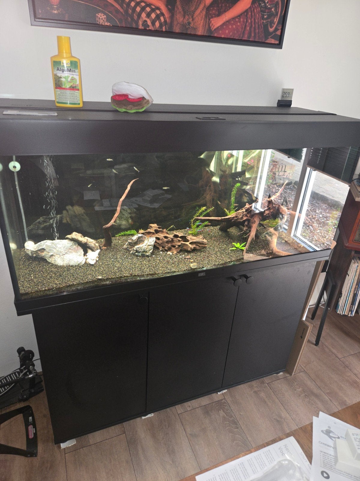 aquarium juwel rio 240, Ophalen, Inclusief deksel, Juwel, Gevuld zoetwateraquarium