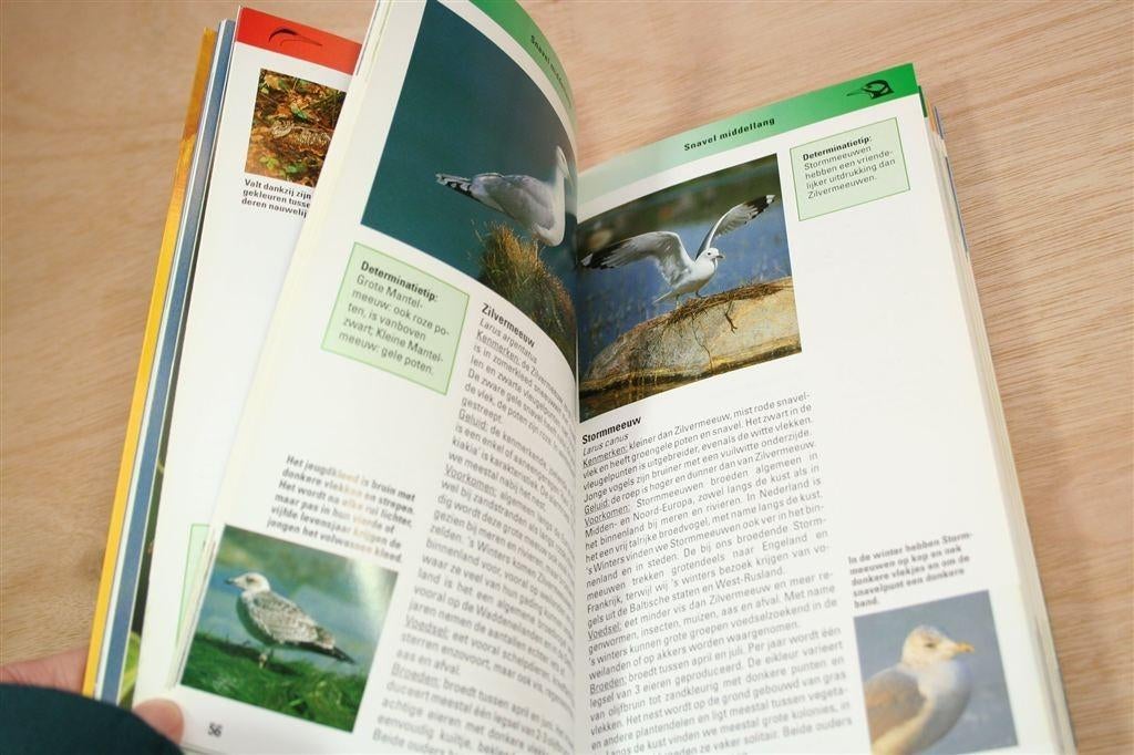 Vogels — Observeren, Herkennen, Beschermen [ANWB], Boeken, Ophalen of Verzenden, Gelezen, Vogels