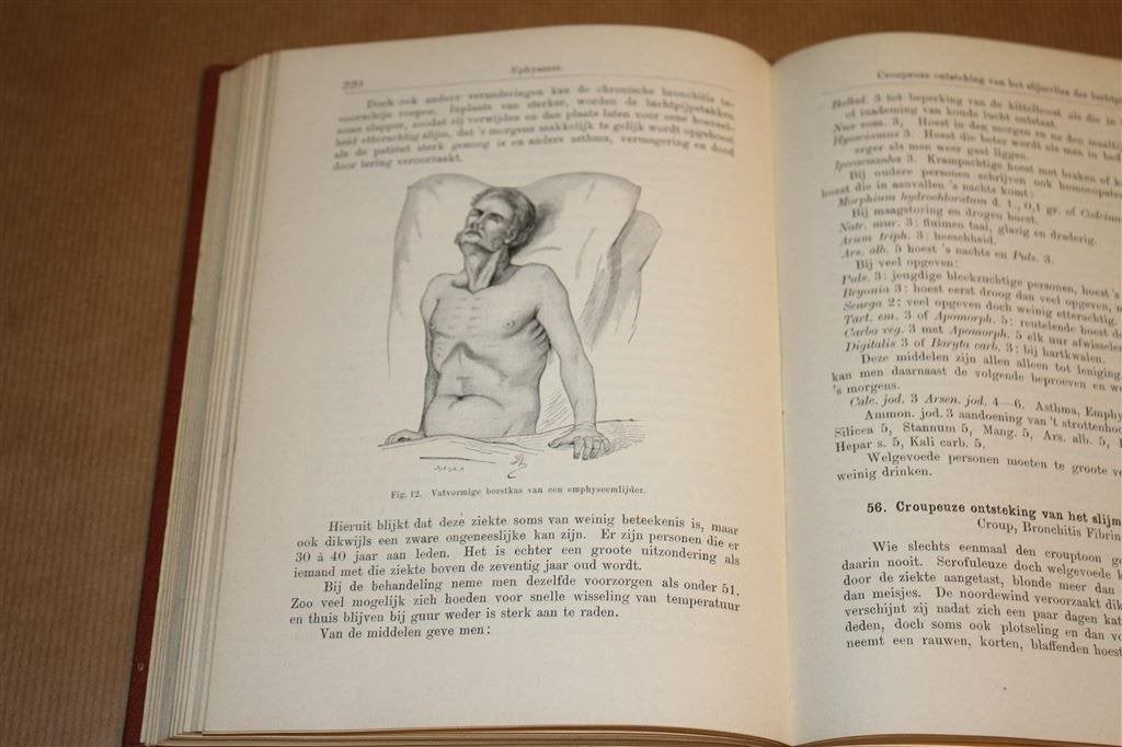 De Homoeopathische Huisdokter. H. Merckens. 1904., Ophalen of Verzenden, Gelezen