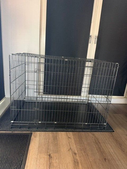Grote Benz tekoop, Dieren en Toebehoren, Ophalen, 110 cm of meer, 100 cm of meer