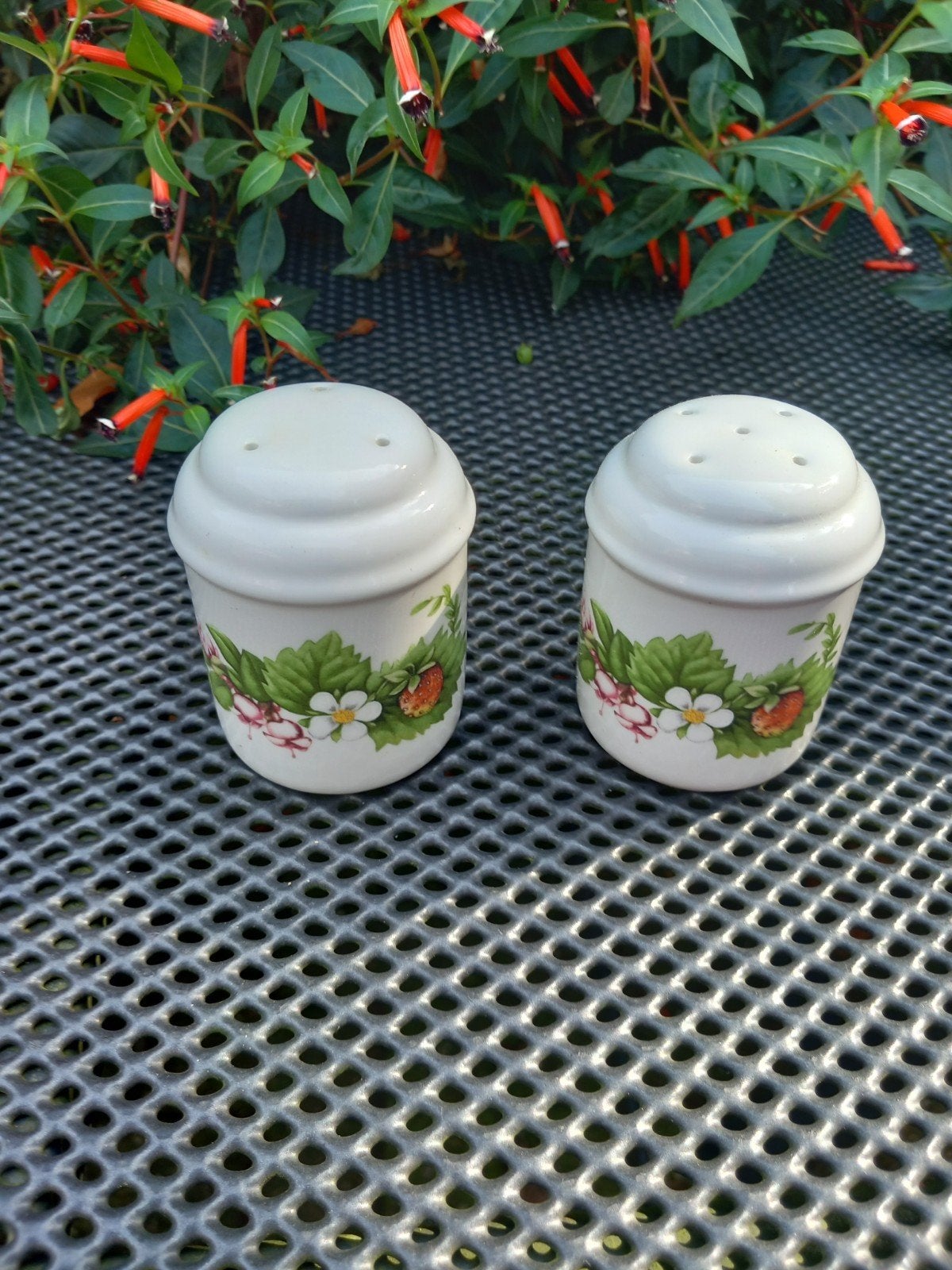 Libelle bosvruchten servies peper en zoutstel, Ophalen of Verzenden