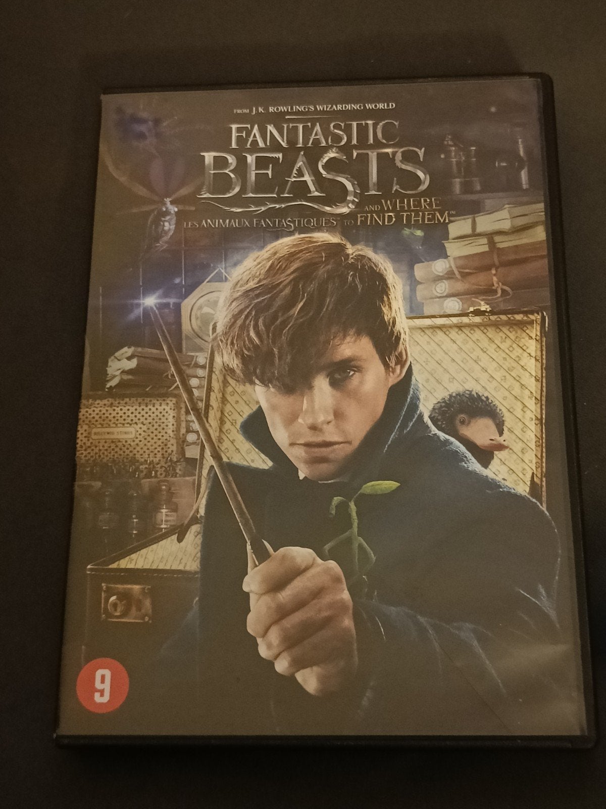Fantastic Beasts and Where to Find Them DVD, Nederlands, Vanaf 9 jaar, Ophalen of Verzenden, Italiaans
