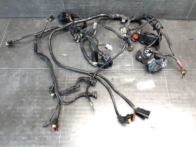 Multistrada 1000 2003 - 2006 Ducati Kabelboom D1-61401