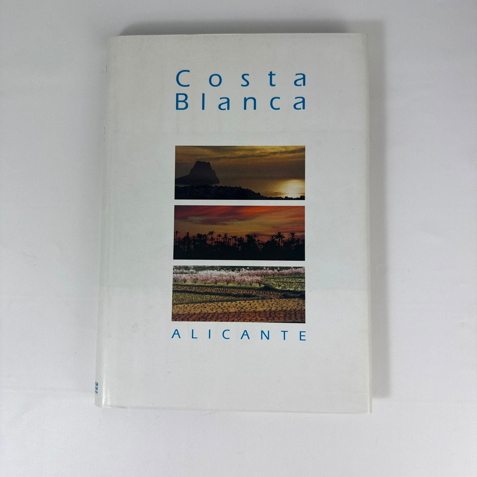 Costa Blanca Alicante - Gelezen, Europa, Ophalen of Verzenden, Reisgids of -boek, Gelezen