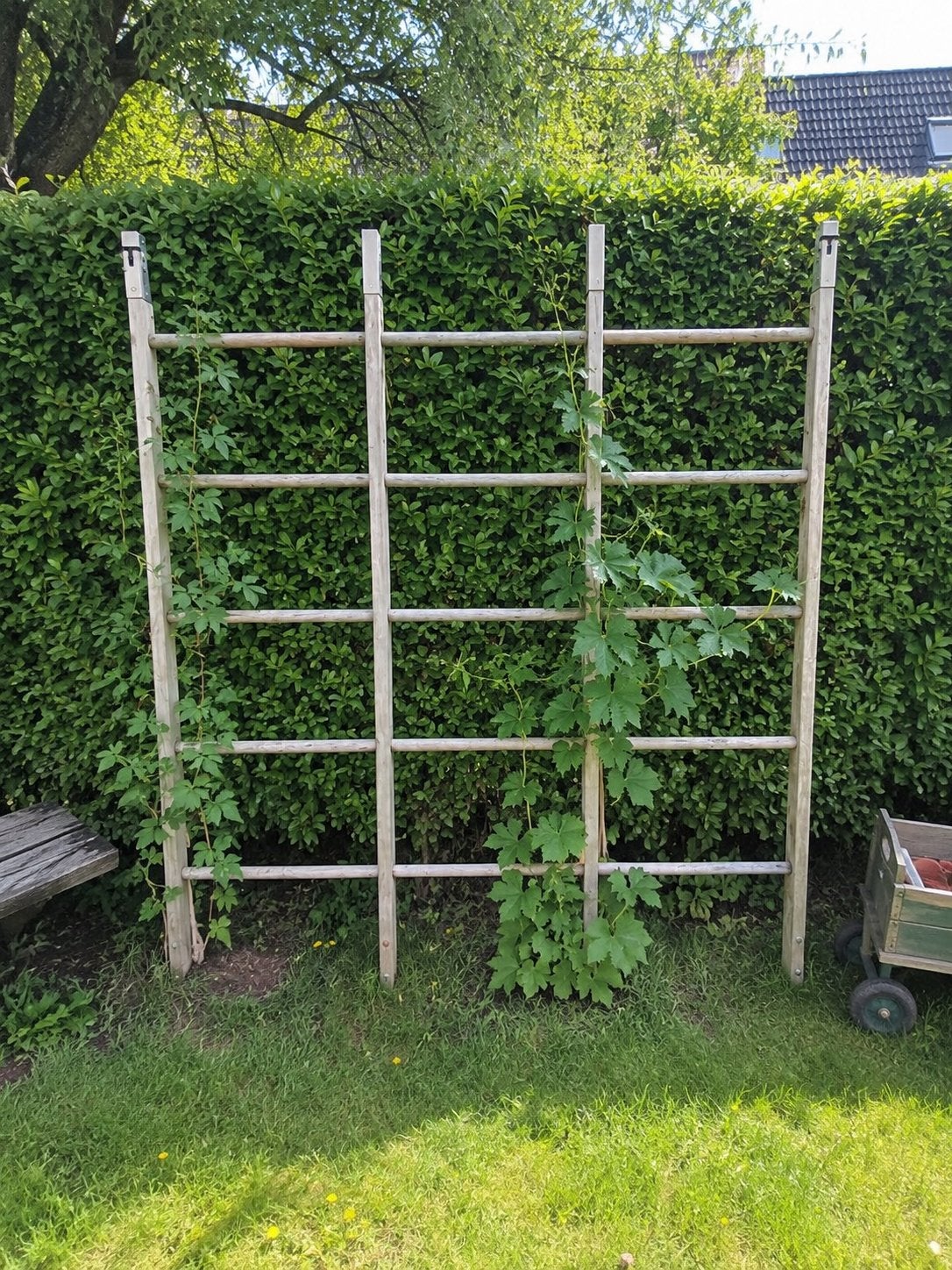 Houten Klimrek Kleuter – Vintage Speeltoestel, Ophalen, Zo goed als nieuw