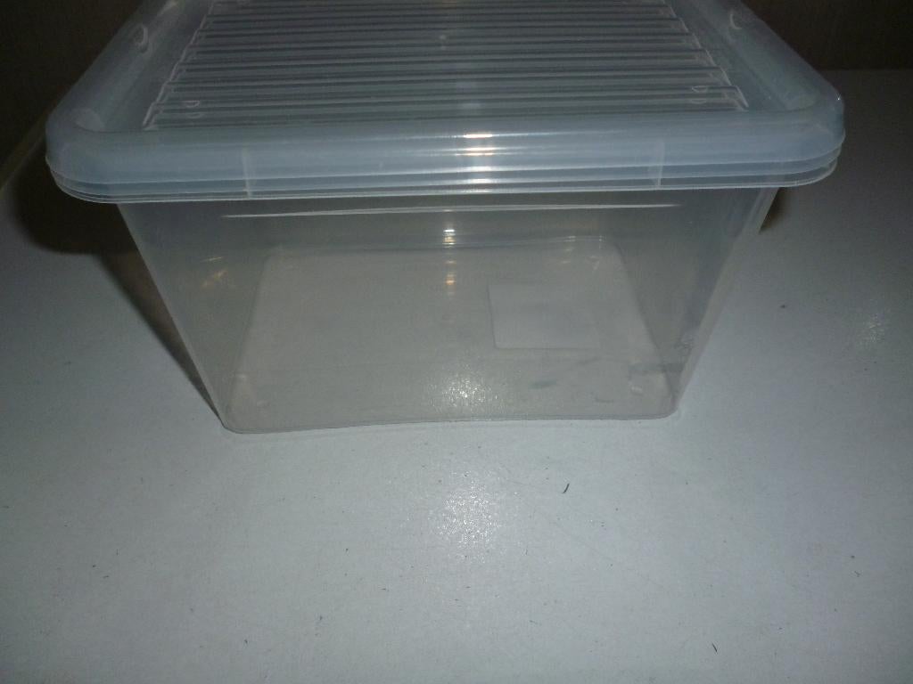 plastic bakje met deksel, Ophalen of Verzenden, Nieuw