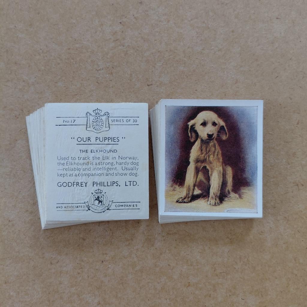Our Puppies complete set 30 honden cigarette cards 1936, Ophalen, Gebruikt