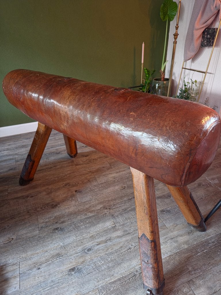 Paard atketiek, Ophalen, Vintage, Gebruikt, Leer