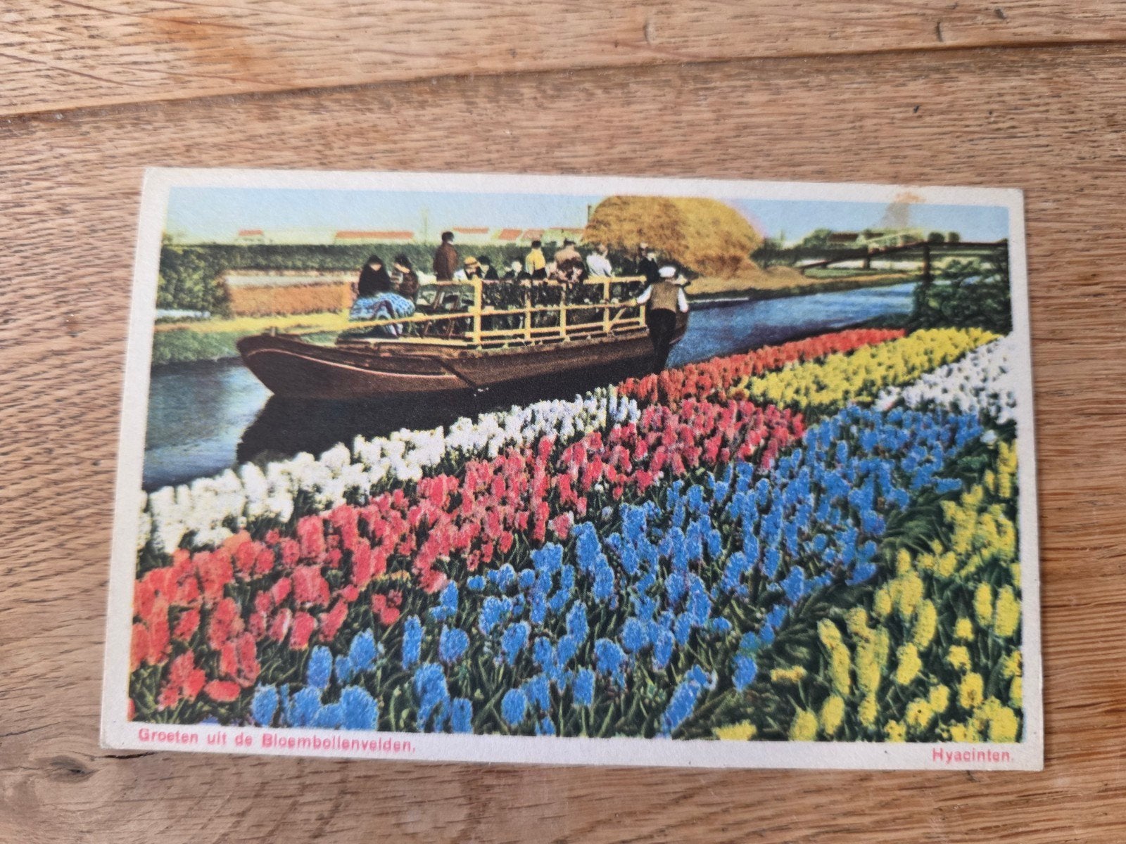 Bollenvelden Haarlem en omstreken, Ophalen of Verzenden