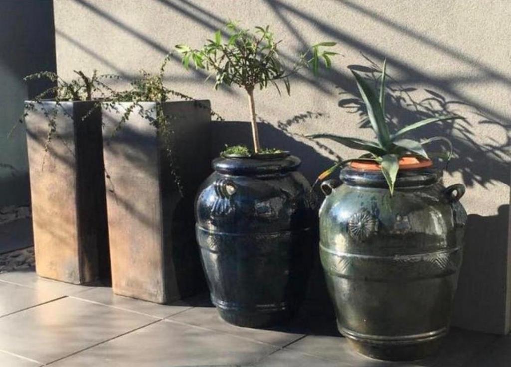 CNP grote 90cm terracotta bloempotten dikke vazen Set van 2, Tuin en Terras, Bloempotten, Gebruikt, Binnen, Terracotta, Rechthoekig