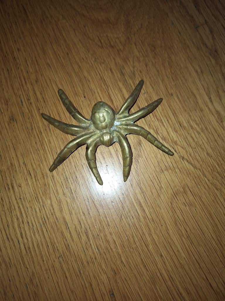 Koperen spin, Ophalen of Verzenden