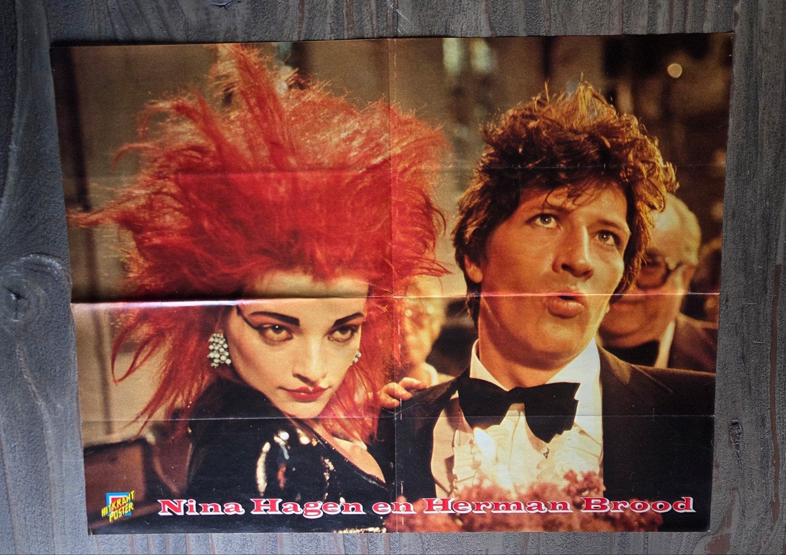 Poster Nina Hagen en Herman Brood, Ophalen of Verzenden, Zo goed als nieuw, A1 t/m A3, Muziek