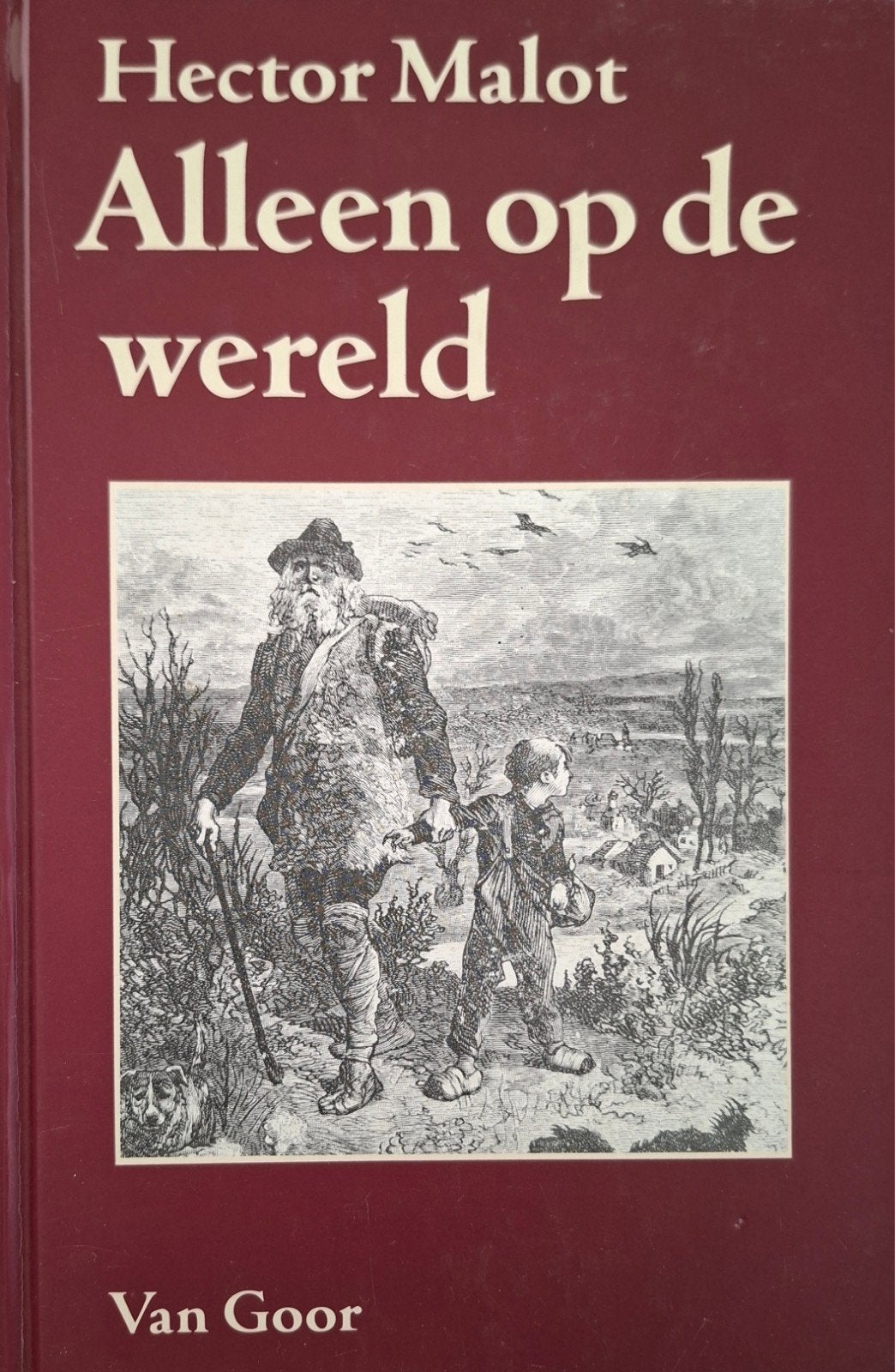 Alleen op de wereld - Hector Malot (ISBN 900027284), Ophalen of Verzenden, Gelezen