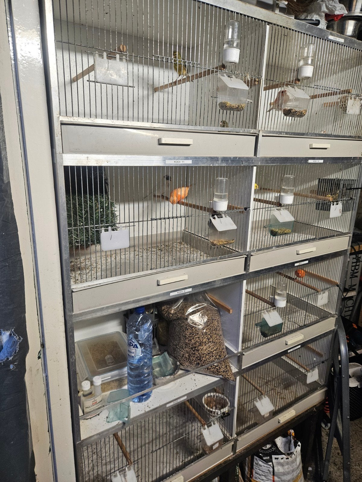 Kweekkooien argaponiden of kanaries, Dieren en Toebehoren, Vogels | Hokken en Kooien, Ophalen of Verzenden, Broedkooi of Kweekkooi