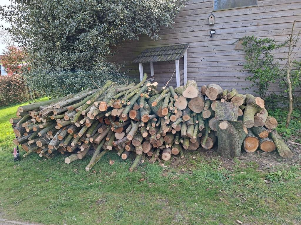 Grote stapel haardhout, diverse soorten, Tuin en Terras, Haardhout, Minder dan 3 m³, Ophalen of Verzenden