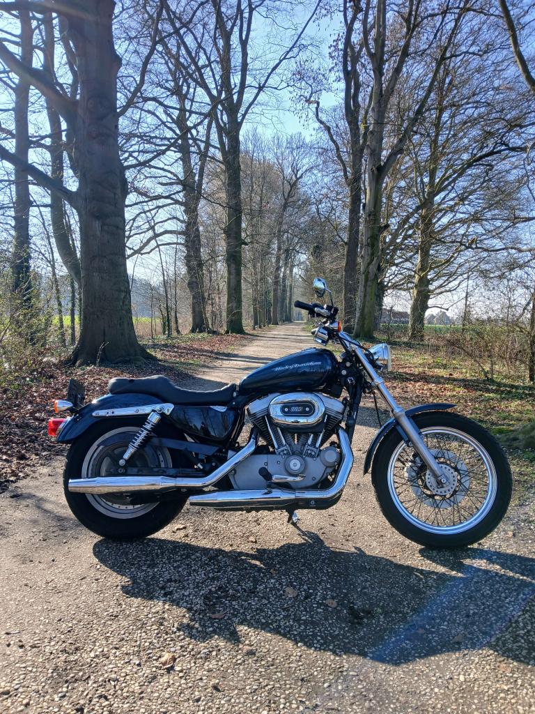 Harley-davidson XL Sportster Custom, Motoren, Motoren | Harley-Davidson, Bedrijf, Toermotor, meer dan 35 kW, 2 cilinders